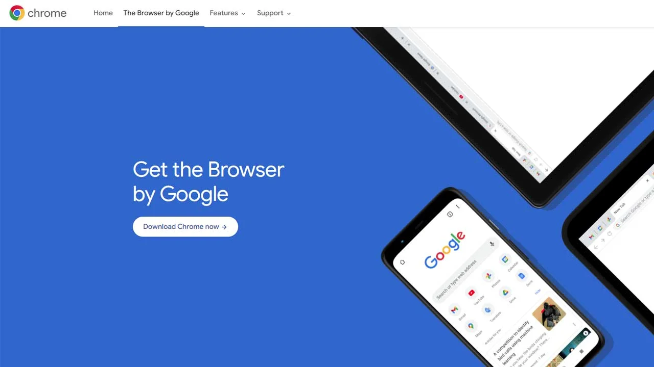 Chrome Popularity and Statistics 2025