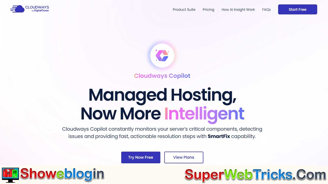 Cloudways Copilot: The AI Revolution in Managed Hosting